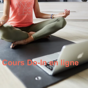 Cours Do-in en ligne